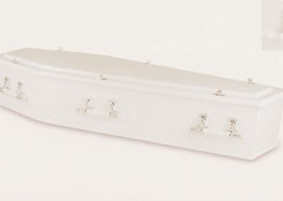 SWAN WHITE